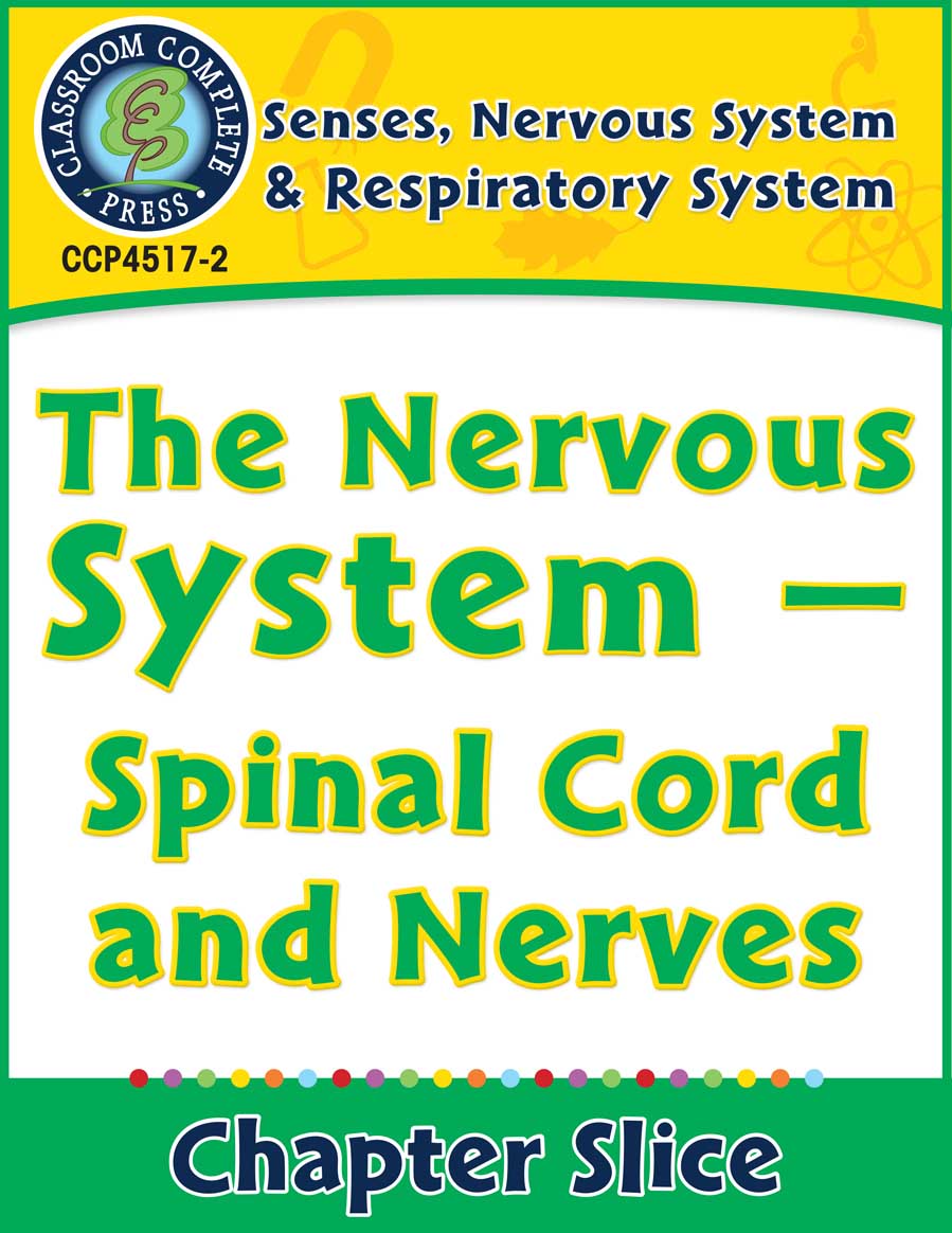 Senses, Nervous & Respiratory Systems: Spinal Cord and Nerves Gr. 5-8 - Chapter Slice eBook
