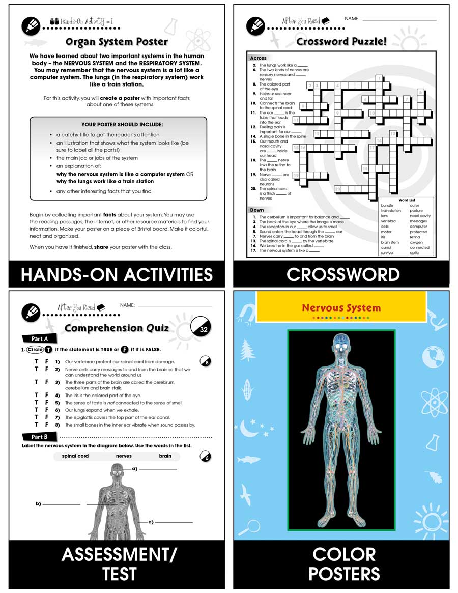 Senses, Nervous & Respiratory Systems: The Sense of Touch Gr. 5-8 - Chapter Slice eBook