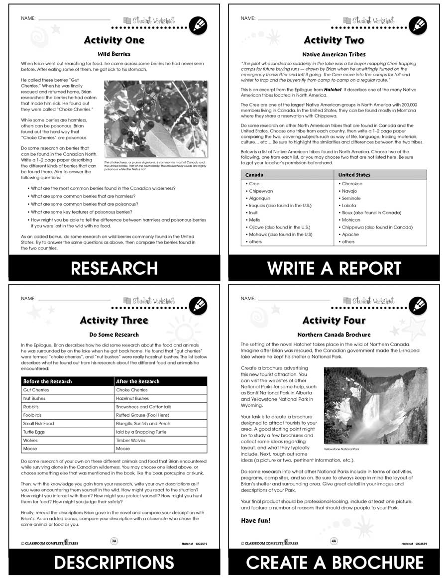 Hatchet - Literature Kit Gr. 5-6 - BONUS WORKSHEETS - eBook