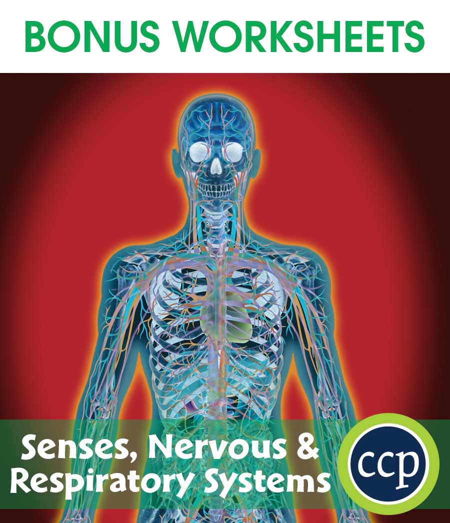Senses, Nervous & Respiratory Systems Gr. 5-8 - BONUS WORKSHEETS - eBook