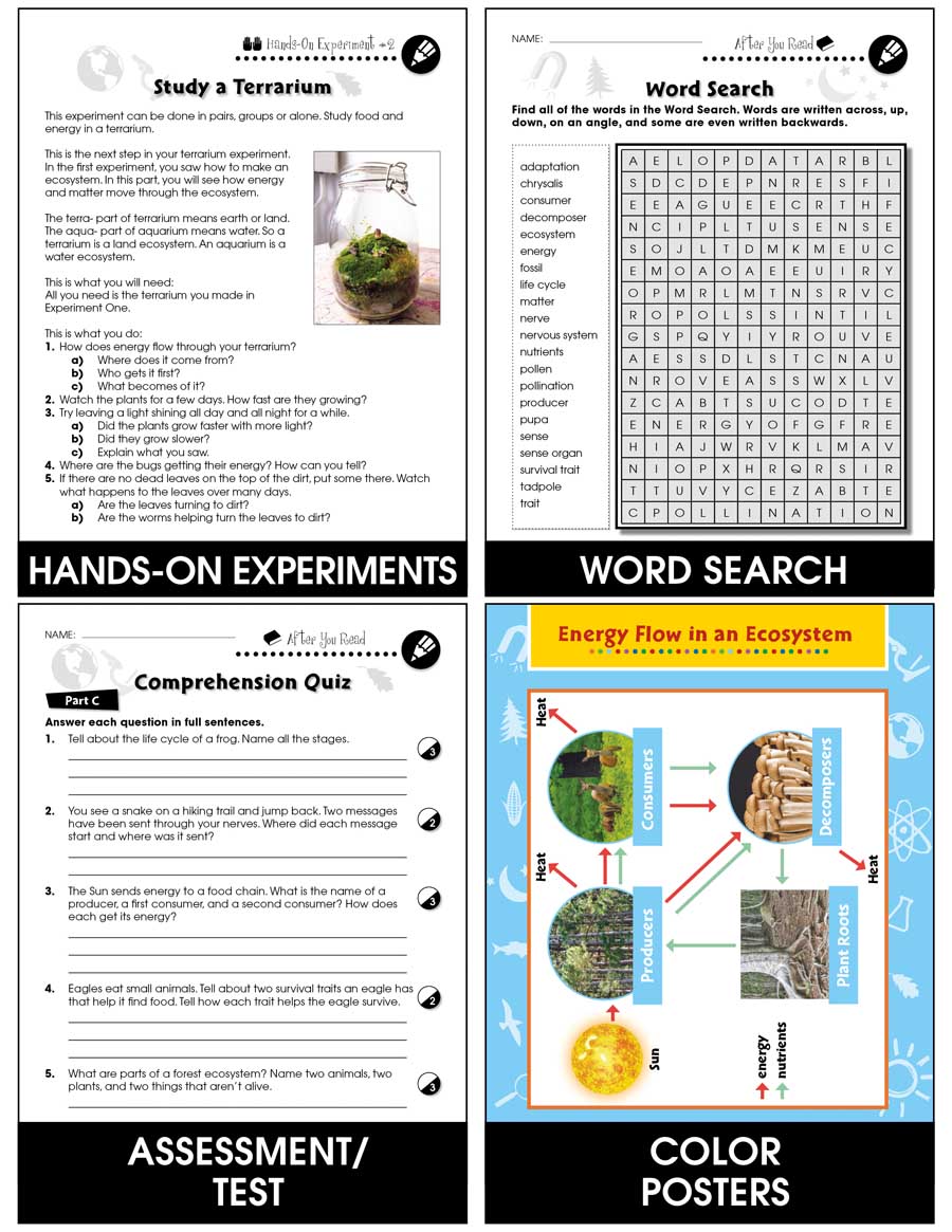 Hands-On - Life Science: Food and Energy Gr. 1-5 - Chapter Slice eBook