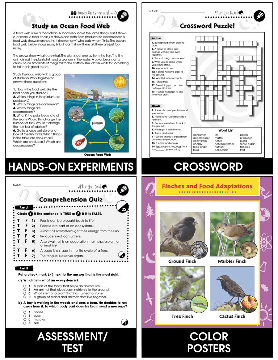 Hands-On - Life Science: Food Chains Gr. 1-5 - Chapter Slice eBook