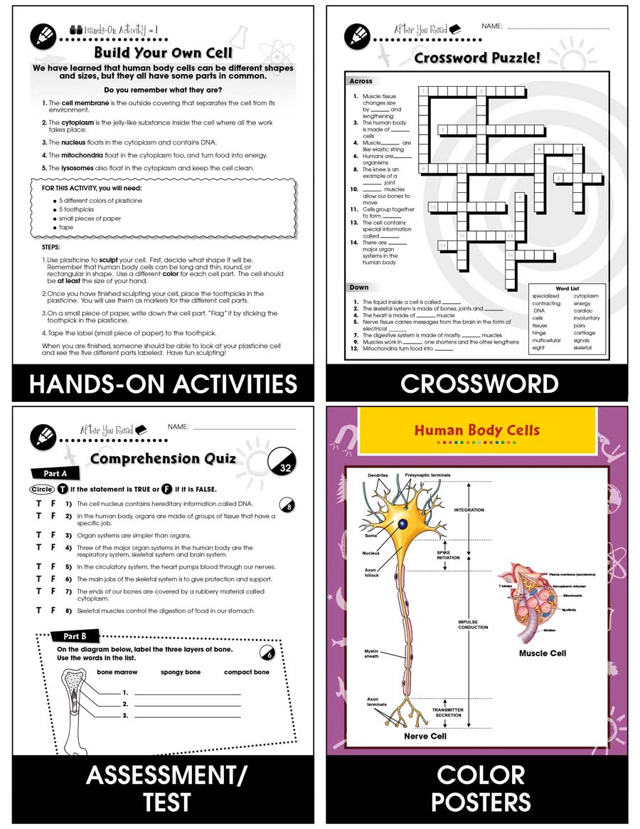 Cells, Skeletal & Muscular Systems: Cells - The Building Blocks of Life Gr. 5-8 - Chapter Slice eBook