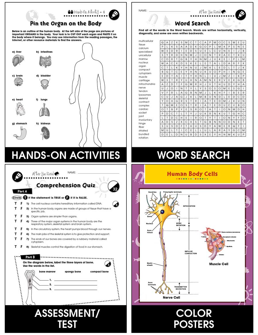 Cells, Skeletal & Muscular Systems: What Are Organs & Organ Systems? Gr. 5-8 - Chapter Slice eBook