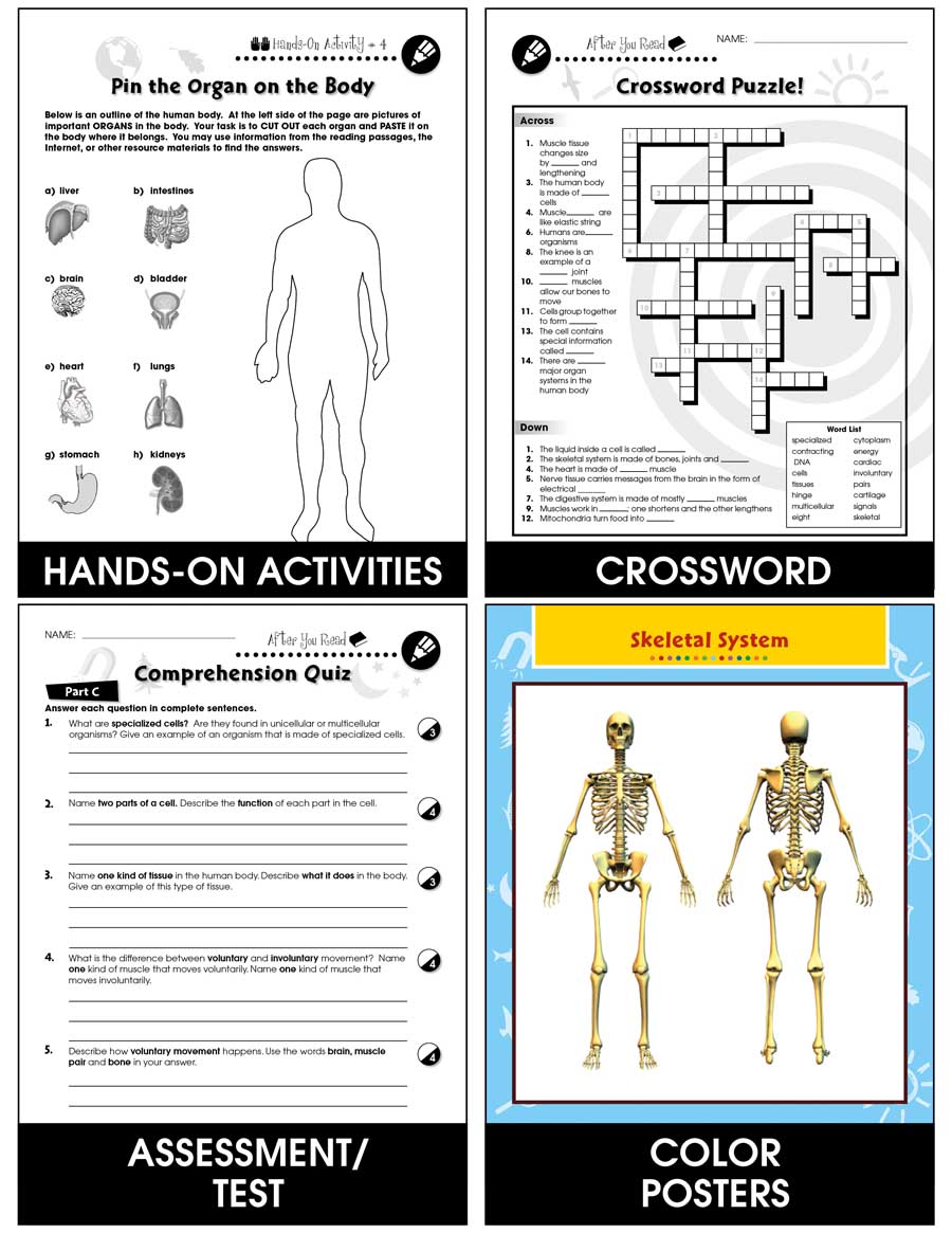 Cells, Skeletal & Muscular Systems: The Muscular System - Movement Gr. 5-8 - Chapter Slice eBook