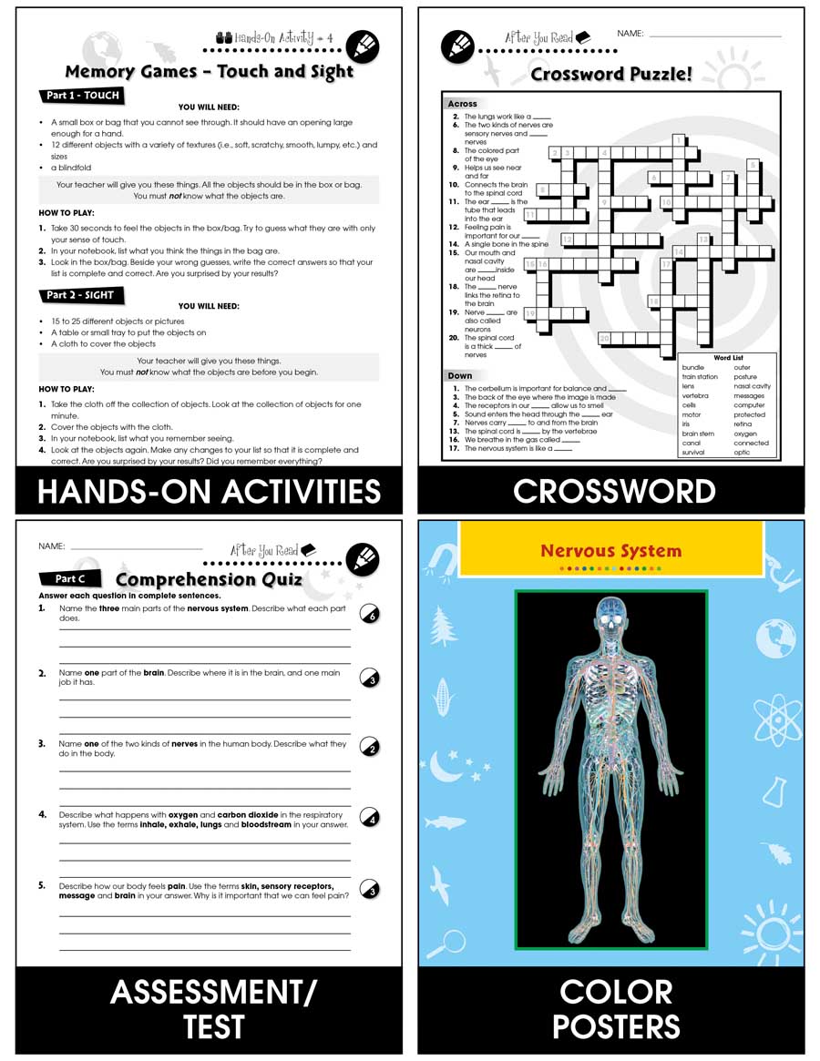 Senses, Nervous & Respiratory Systems: The Respiratory System - Lungs Gr. 5-8 - Chapter Slice eBook