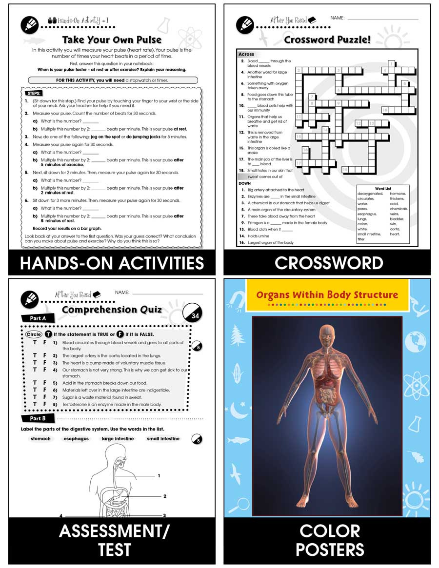 Circulatory, Digestive & Reproductive Systems: Blood Vessels Gr. 5-8 - Chapter Slice eBook