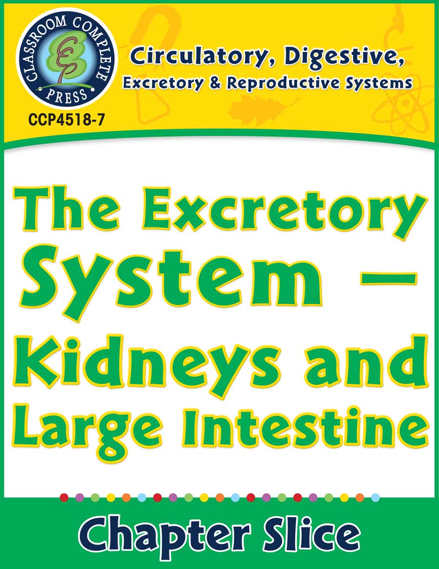 Circulatory, Digestive & Reproductive Systems: Kidneys & Large Intestine Gr. 5-8 - Chapter Slice eBook