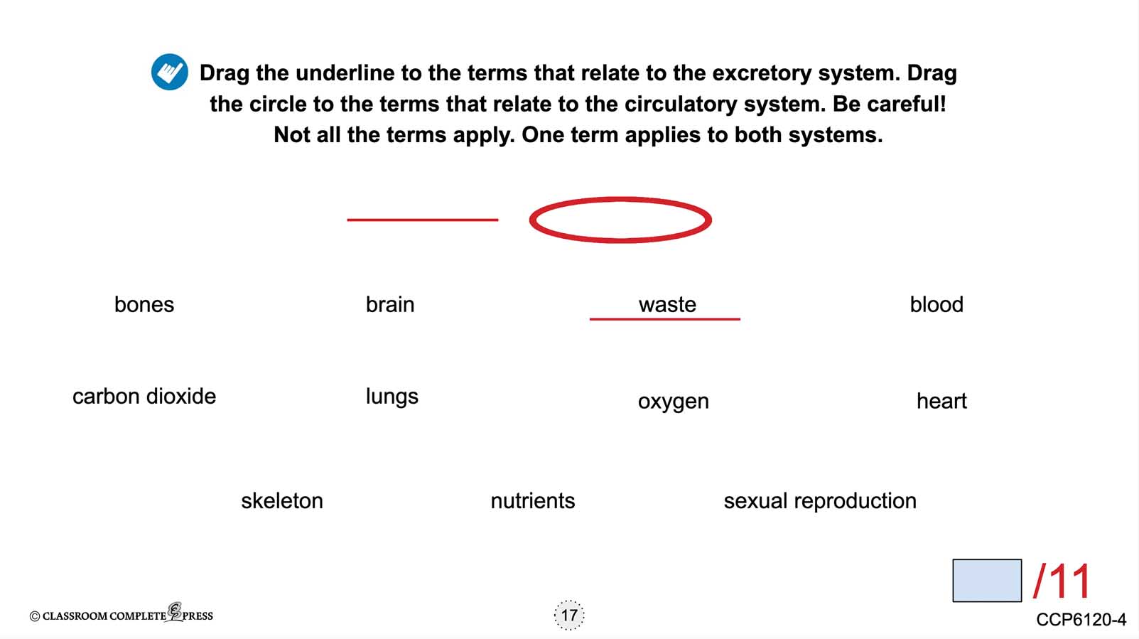Cells, Skeletal & Muscular Systems: What Are Organs & Organ Systems? - Google Slides Gr. 5-8 - eBook
