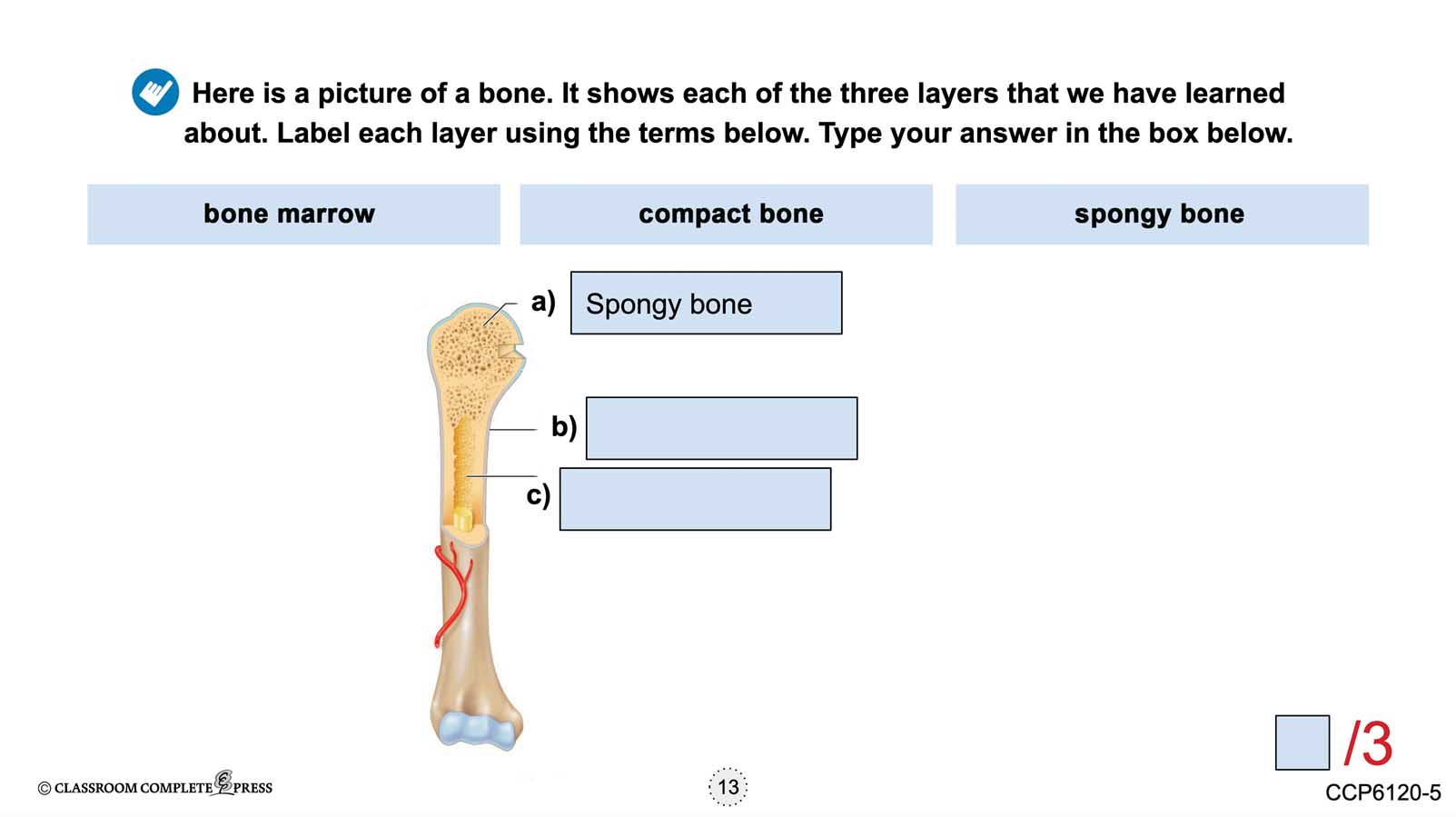 Cells, Skeletal & Muscular Systems: The Skeletal System – Bones - Google Slides Gr. 5-8 - eBook