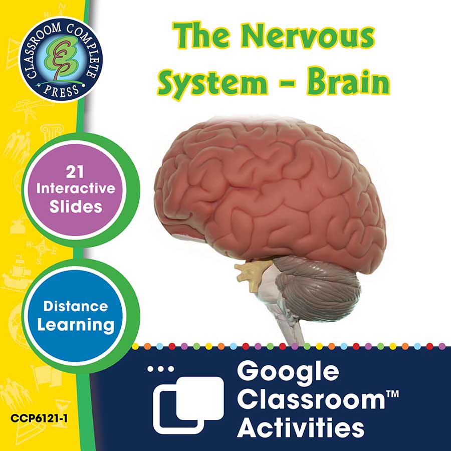 Senses, Nervous & Respiratory Systems: The Nervous System – Brain - Google Slides Gr. 5-8 - eBook