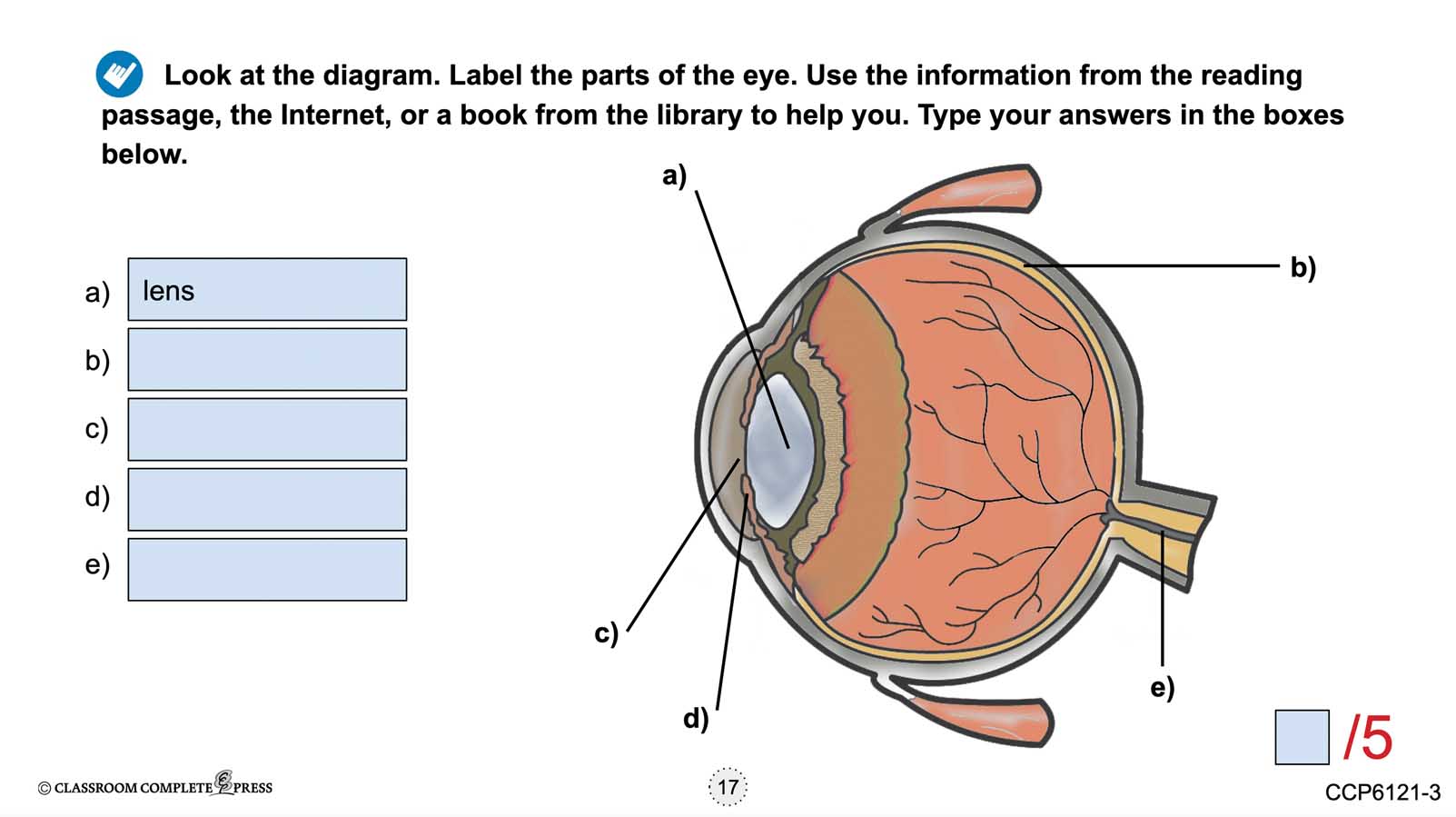 Senses, Nervous & Respiratory Systems: The Sense of Sight - Google Slides Gr. 5-8 - eBook