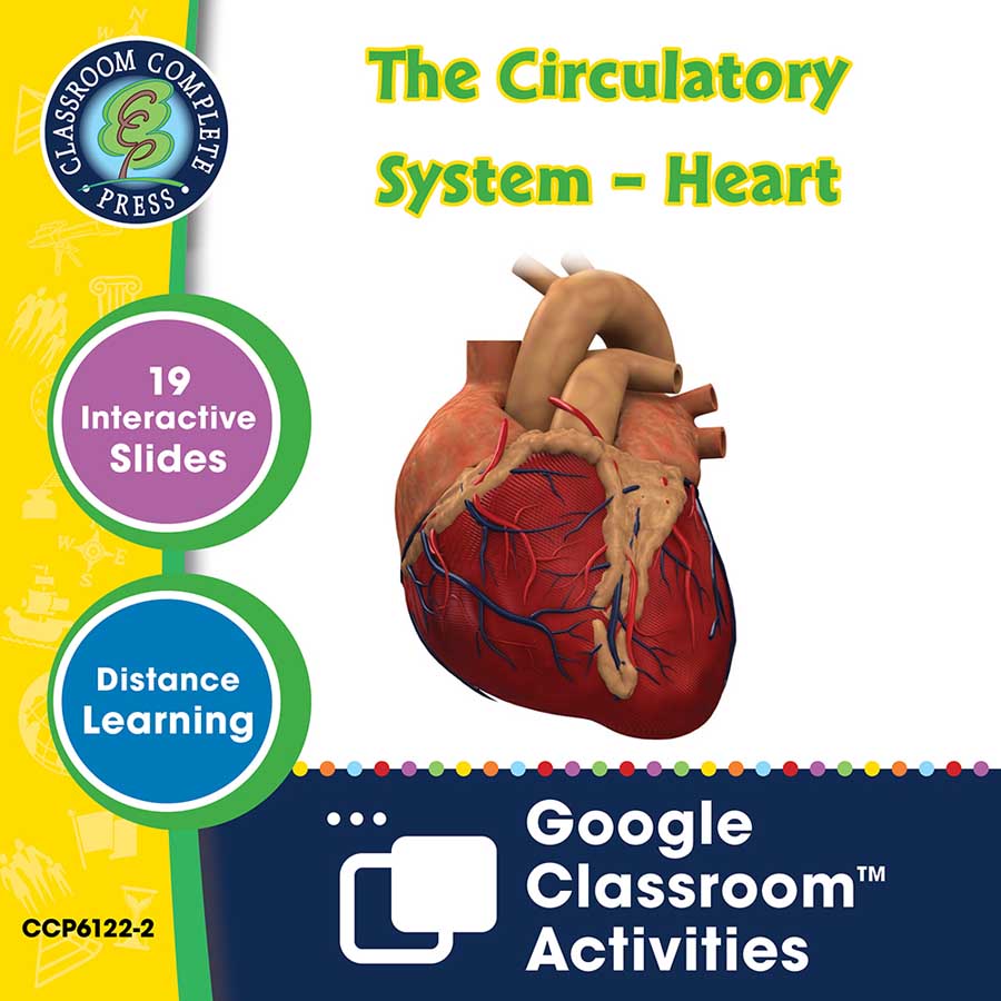 Circulatory, Digestive & Reproductive Systems: The Circulatory System – Heart - Google Slides Gr. 5-8 - eBook
