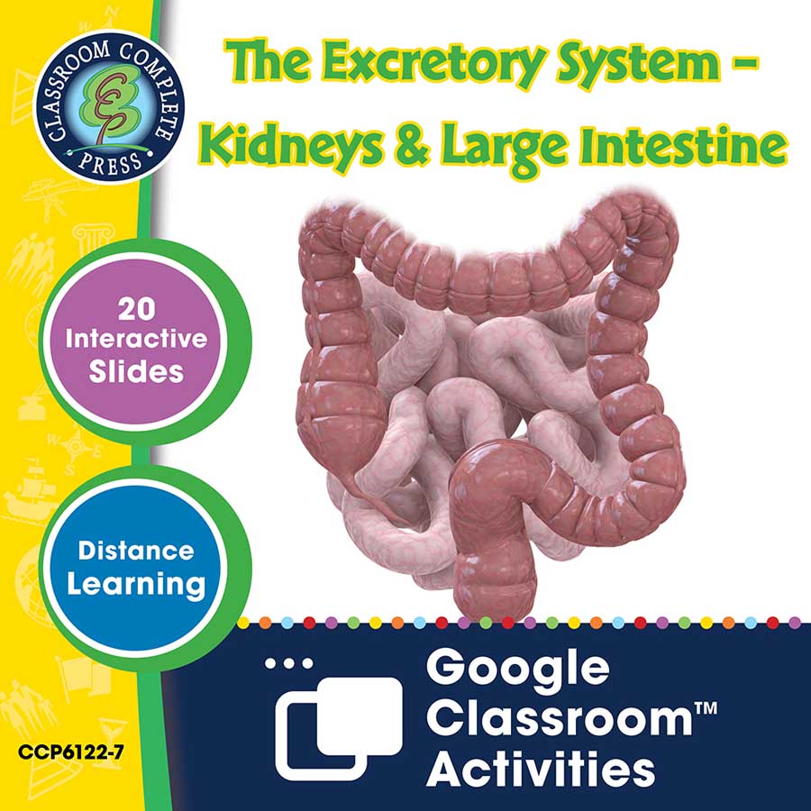 Circulatory, Digestive & Reproductive Systems: The Excretory System – Kidneys & Large Intestine - Google Slides Gr. 5-8 - eBook
