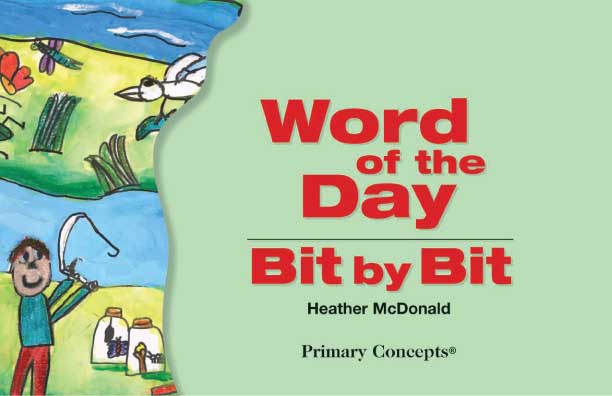 Word of the Day: Bit by Bit 