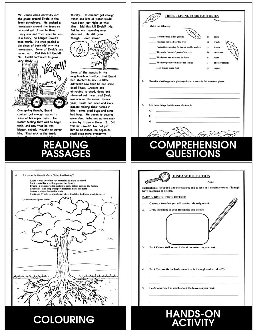 Canadian Trees & The Urban Forest Gr. 4-6 - eBook