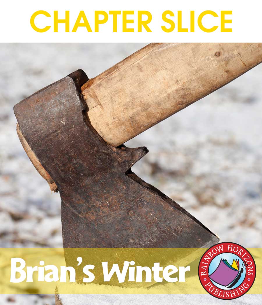Brian's Winter (Novel Study) Gr. 4-7 - CHAPTER SLICE - eBook