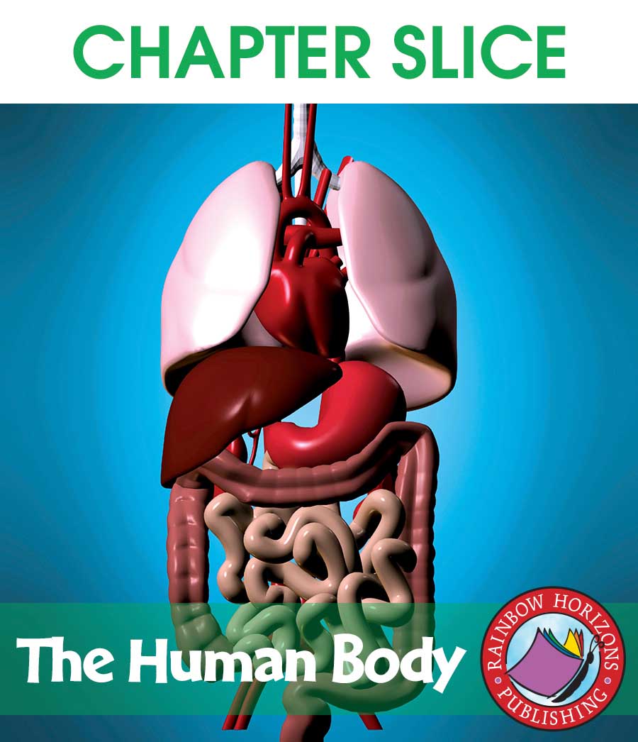 The Human Body Gr. 4-6 - CHAPTER SLICE - eBook