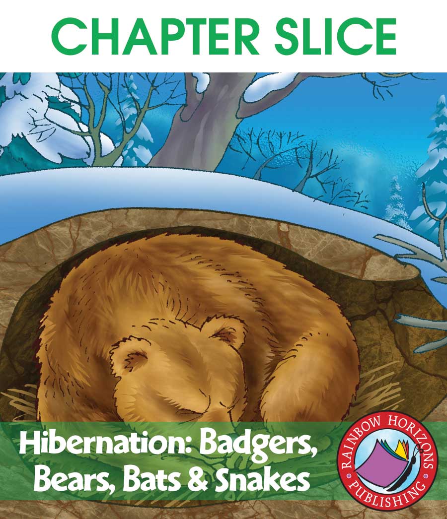 Hibernation: Badgers, Bears, Bats & Snakes Gr. 2-3 - CHAPTER SLICE - eBook