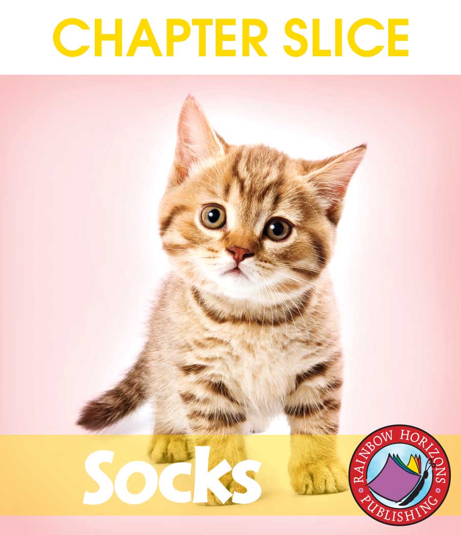 Socks (Novel Study) Gr. 3-4 - CHAPTER SLICE - eBook