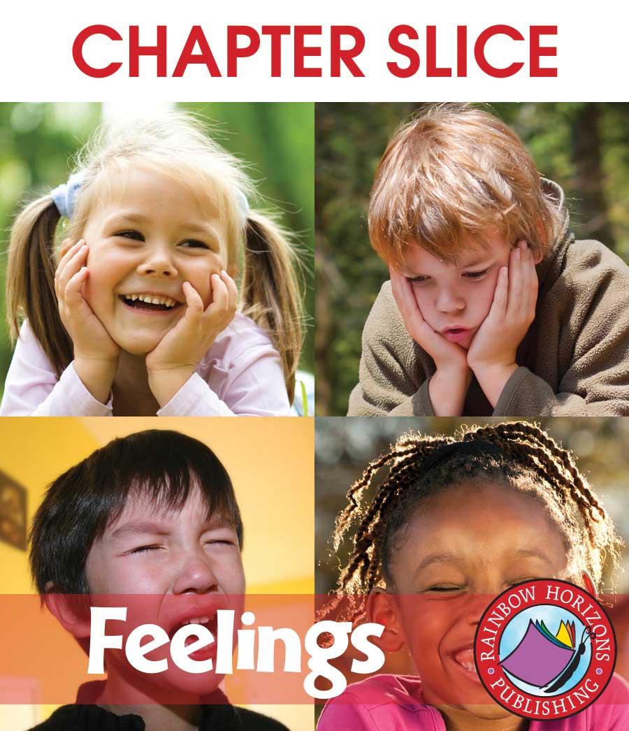 Feelings: A Sad, Mad, Grumpy, Happy Good Time Gr. 1 - CHAPTER SLICE - eBook