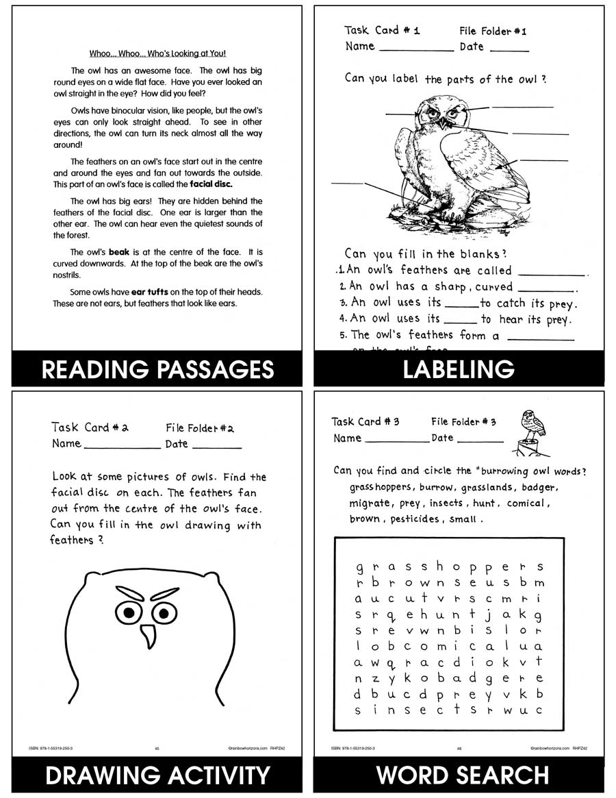 Owls   Gr. 2-6 - eBook