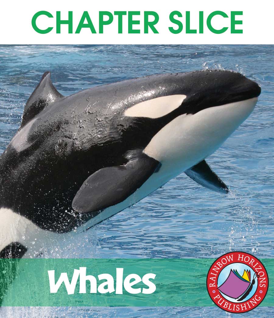 Whales Gr. 2-3 - CHAPTER SLICE - eBook